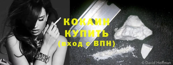 индика Балахна