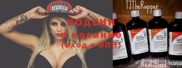 индика Балахна