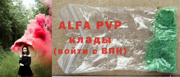 индика Балахна