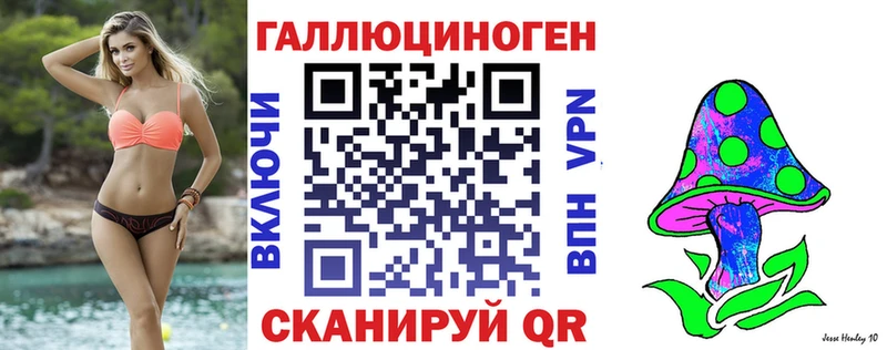 Галлюциногенные грибы Psilocybe  Сегежа 