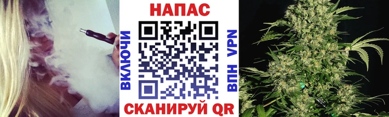 где можно купить наркотик  Сегежа  Канабис конопля 